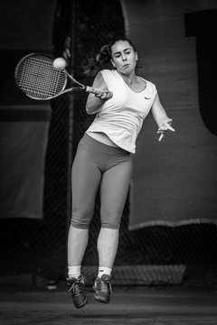 Ausschnitte 2248 - Rosenpokal Uetersen